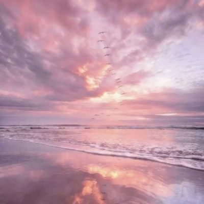 魅影快三app下载安装手机版