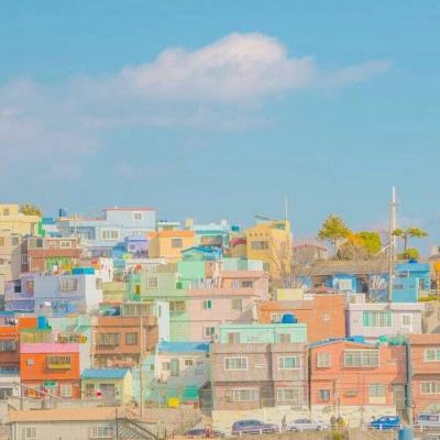 体育投注网址365